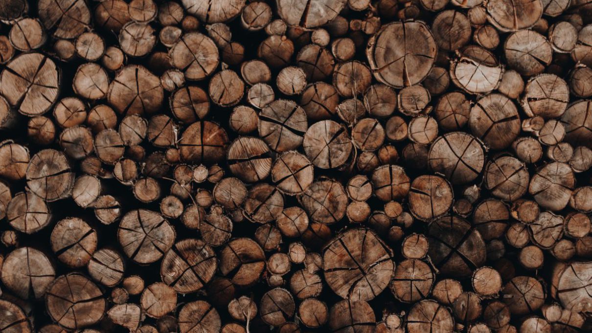 Holzpflege Tipps vom Profi